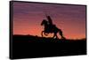 USA, Wyoming, Shell, The Hideout Ranch, Silhouette of Cowboy and Horse at Sunset-Hollice Looney-Framed Stretched Canvas