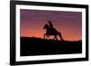 USA, Wyoming, Shell, The Hideout Ranch, Silhouette of Cowboy and Horse at Sunset-Hollice Looney-Framed Photographic Print