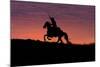 USA, Wyoming, Shell, The Hideout Ranch, Silhouette of Cowboy and Horse at Sunset-Hollice Looney-Mounted Photographic Print