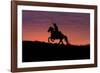 USA, Wyoming, Shell, The Hideout Ranch, Silhouette of Cowboy and Horse at Sunset-Hollice Looney-Framed Photographic Print