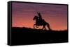 USA, Wyoming, Shell, The Hideout Ranch, Silhouette of Cowboy and Horse at Sunset-Hollice Looney-Framed Stretched Canvas