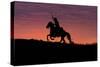 USA, Wyoming, Shell, The Hideout Ranch, Silhouette of Cowboy and Horse at Sunset-Hollice Looney-Stretched Canvas