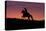 USA, Wyoming, Shell, The Hideout Ranch, Silhouette of Cowboy and Horse at Sunset-Hollice Looney-Stretched Canvas