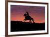 USA, Wyoming, Shell, The Hideout Ranch, Silhouette of Cowboy and Horse at Sunset-Hollice Looney-Framed Photographic Print