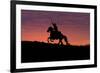 USA, Wyoming, Shell, The Hideout Ranch, Silhouette of Cowboy and Horse at Sunset-Hollice Looney-Framed Photographic Print