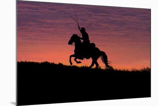 USA, Wyoming, Shell, The Hideout Ranch, Silhouette of Cowboy and Horse at Sunset-Hollice Looney-Mounted Photographic Print