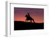 USA, Wyoming, Shell, The Hideout Ranch, Silhouette of Cowboy and Horse at Sunset-Hollice Looney-Framed Photographic Print