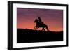 USA, Wyoming, Shell, The Hideout Ranch, Silhouette of Cowboy and Horse at Sunset-Hollice Looney-Framed Photographic Print