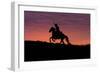 USA, Wyoming, Shell, The Hideout Ranch, Silhouette of Cowboy and Horse at Sunset-Hollice Looney-Framed Photographic Print