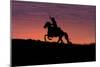 USA, Wyoming, Shell, The Hideout Ranch, Silhouette of Cowboy and Horse at Sunset-Hollice Looney-Mounted Photographic Print