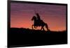 USA, Wyoming, Shell, The Hideout Ranch, Silhouette of Cowboy and Horse at Sunset-Hollice Looney-Framed Photographic Print