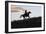 USA, Wyoming, Shell, The Hideout Ranch, Silhouette of Cowgirl with Horse at Sunset-Hollice Looney-Framed Photographic Print