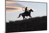 USA, Wyoming, Shell, The Hideout Ranch, Silhouette of Cowgirl with Horse at Sunset-Hollice Looney-Mounted Premium Photographic Print