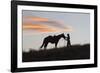 USA, Wyoming, Shell, The Hideout Ranch, Silhouette of Cowgirl with Horse at Sunset-Hollice Looney-Framed Photographic Print