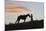 USA, Wyoming, Shell, The Hideout Ranch, Silhouette of Cowgirl with Horse at Sunset-Hollice Looney-Mounted Photographic Print