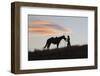 USA, Wyoming, Shell, The Hideout Ranch, Silhouette of Cowgirl with Horse at Sunset-Hollice Looney-Framed Photographic Print