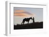 USA, Wyoming, Shell, The Hideout Ranch, Silhouette of Cowgirl with Horse at Sunset-Hollice Looney-Framed Photographic Print