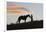 USA, Wyoming, Shell, The Hideout Ranch, Silhouette of Cowgirl with Horse at Sunset-Hollice Looney-Framed Photographic Print