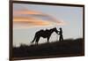 USA, Wyoming, Shell, The Hideout Ranch, Silhouette of Cowgirl with Horse at Sunset-Hollice Looney-Framed Photographic Print