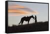 USA, Wyoming, Shell, The Hideout Ranch, Silhouette of Cowgirl with Horse at Sunset-Hollice Looney-Framed Stretched Canvas