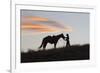 USA, Wyoming, Shell, The Hideout Ranch, Silhouette of Cowgirl with Horse at Sunset-Hollice Looney-Framed Premium Photographic Print