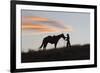 USA, Wyoming, Shell, The Hideout Ranch, Silhouette of Cowgirl with Horse at Sunset-Hollice Looney-Framed Premium Photographic Print