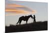 USA, Wyoming, Shell, The Hideout Ranch, Silhouette of Cowgirl with Horse at Sunset-Hollice Looney-Mounted Premium Photographic Print