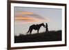 USA, Wyoming, Shell, The Hideout Ranch, Silhouette of Cowgirl with Horse at Sunset-Hollice Looney-Framed Photographic Print