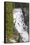 USA, Wyoming, Shoshone National Forest. Brooks Lake Creek Falls landscape.-Jaynes Gallery-Framed Stretched Canvas