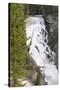 USA, Wyoming, Shoshone National Forest. Brooks Lake Creek Falls landscape.-Jaynes Gallery-Stretched Canvas