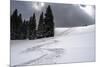 USA, Wyoming. Ski tracks in powder near Jackson Hole.-Howie Garber-Mounted Photographic Print