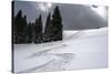 USA, Wyoming. Ski tracks in powder near Jackson Hole.-Howie Garber-Stretched Canvas