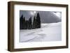 USA, Wyoming. Ski tracks in powder near Jackson Hole.-Howie Garber-Framed Photographic Print