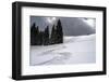 USA, Wyoming. Ski tracks in powder near Jackson Hole.-Howie Garber-Framed Photographic Print