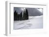 USA, Wyoming. Ski tracks in powder near Jackson Hole.-Howie Garber-Framed Photographic Print