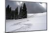 USA, Wyoming. Ski tracks in powder near Jackson Hole.-Howie Garber-Mounted Photographic Print