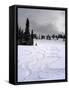 USA, Wyoming. Ski tracks in powder near Jackson Hole.-Howie Garber-Framed Stretched Canvas