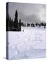 USA, Wyoming. Ski tracks in powder near Jackson Hole.-Howie Garber-Stretched Canvas