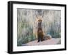 USA, Wyoming, Sublette County. Female red fox sitting at her den site.-Elizabeth Boehm-Framed Photographic Print