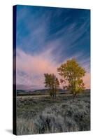USA, Wyoming. Sunset clouds and cottonwoods, near Antelope Flats and Mormon Row, Grand Teton NP-Judith Zimmerman-Stretched Canvas
