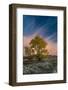 USA, Wyoming. Sunset clouds and cottonwoods, near Antelope Flats and Mormon Row, Grand Teton NP-Judith Zimmerman-Framed Photographic Print