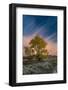 USA, Wyoming. Sunset clouds and cottonwoods, near Antelope Flats and Mormon Row, Grand Teton NP-Judith Zimmerman-Framed Photographic Print