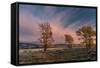 USA, Wyoming. Sunset clouds and cottonwoods, near Antelope Flats and Mormon Row, Grand Teton NP-Judith Zimmerman-Framed Stretched Canvas