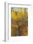 USA, Wyoming. Trail through autumn Aspens and grasslands, Black Tail Butte, Grand Teton NP.-Judith Zimmerman-Framed Photographic Print