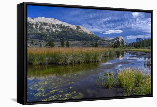 USA, Wyoming. White Rock Mountain and Squaretop Peak above Green River wetland-Howie Garber-Framed Stretched Canvas