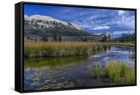 USA, Wyoming. White Rock Mountain and Squaretop Peak above Green River wetland-Howie Garber-Framed Stretched Canvas