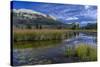 USA, Wyoming. White Rock Mountain and Squaretop Peak above Green River wetland-Howie Garber-Stretched Canvas