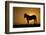 USA, Wyoming. Wild horse silhouetted at sunset.-Jaynes Gallery-Framed Photographic Print