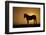 USA, Wyoming. Wild horse silhouetted at sunset.-Jaynes Gallery-Framed Photographic Print
