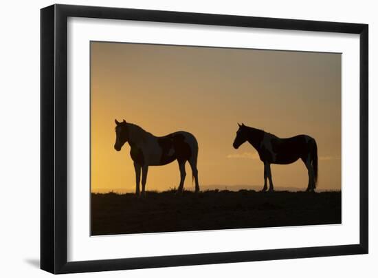 USA, Wyoming. Wild horses silhouetted at sunset.-Jaynes Gallery-Framed Photographic Print